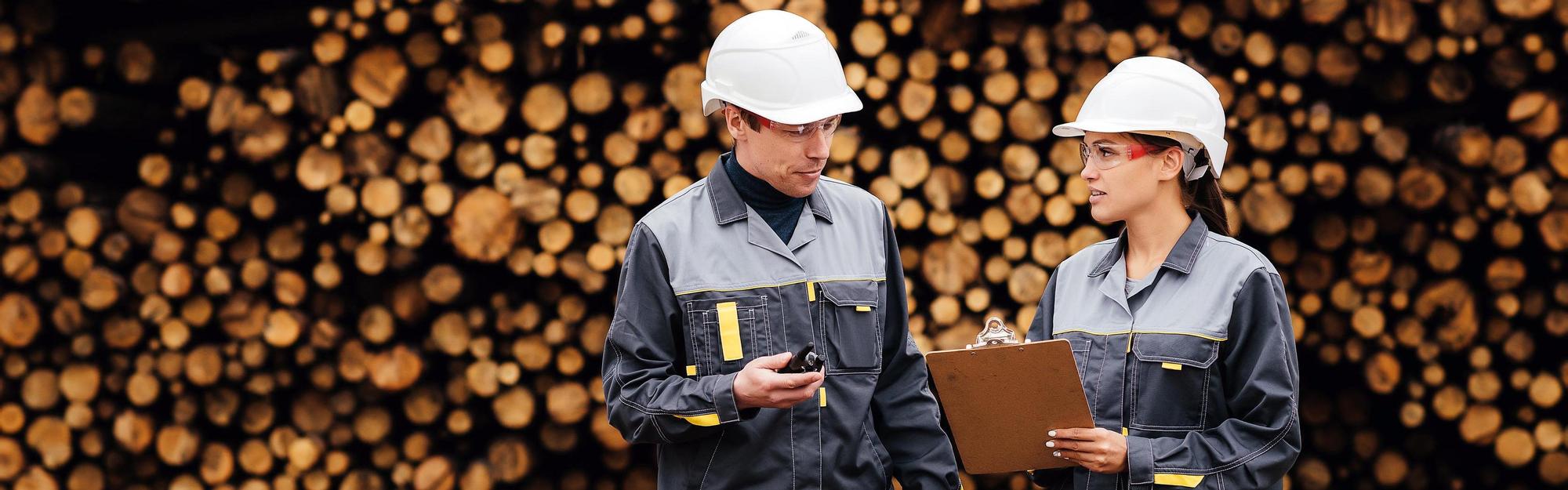 Wood worker storage checking tree resource lumber